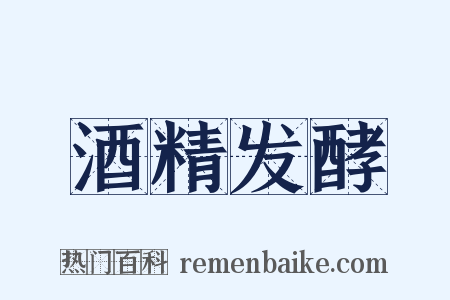 酒精发酵是什么意思的图片